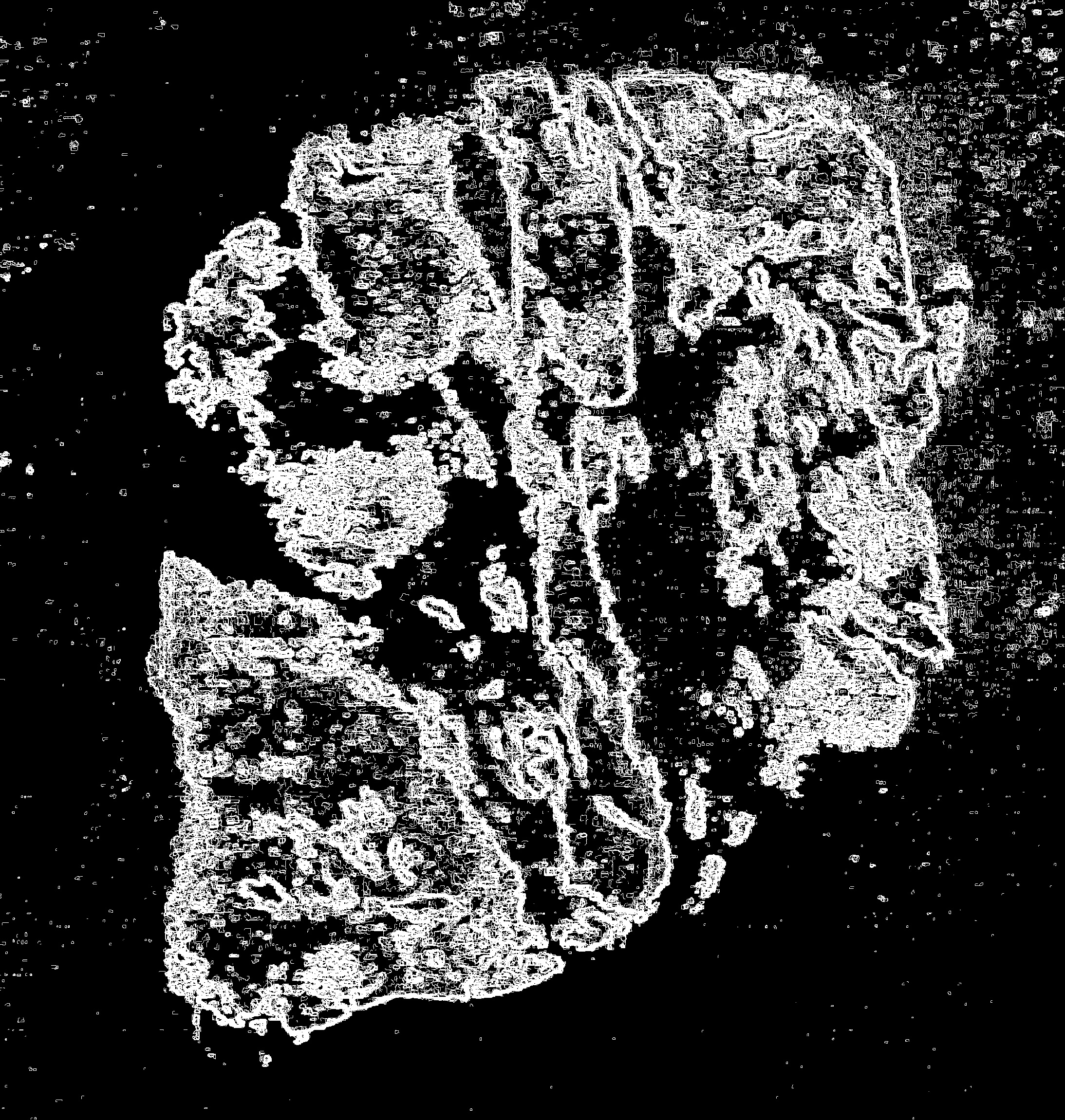 Workshop Head x Umprum